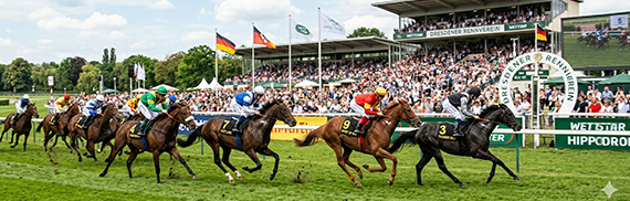 Galopp-Profis