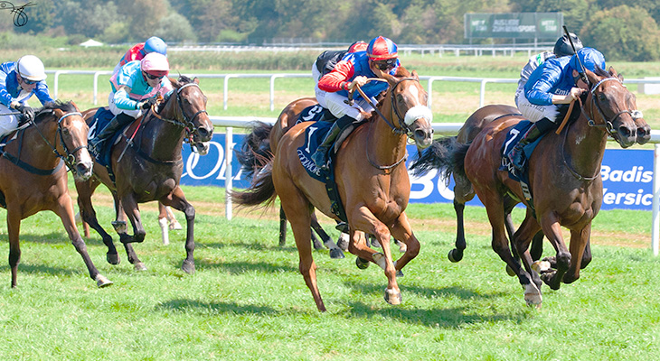 Rennsport im Galopp
